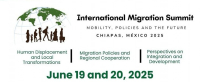 International Migration Summit: Mobility, Policies and the Future